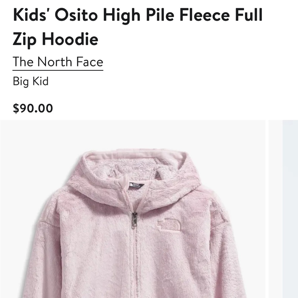The North Face Light Pink Fleece Hoodie